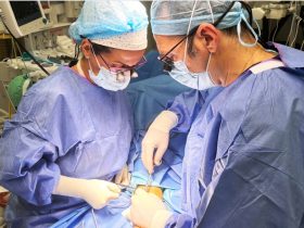 HLA Montpellier_Nueva_Unidad_Mano_Codo